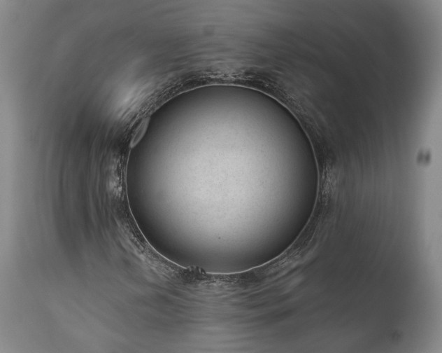 X0000110961202200906191304