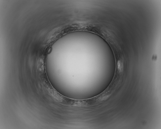 X0000110961203200906191304