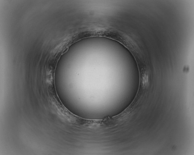 X0000110961204200906191304
