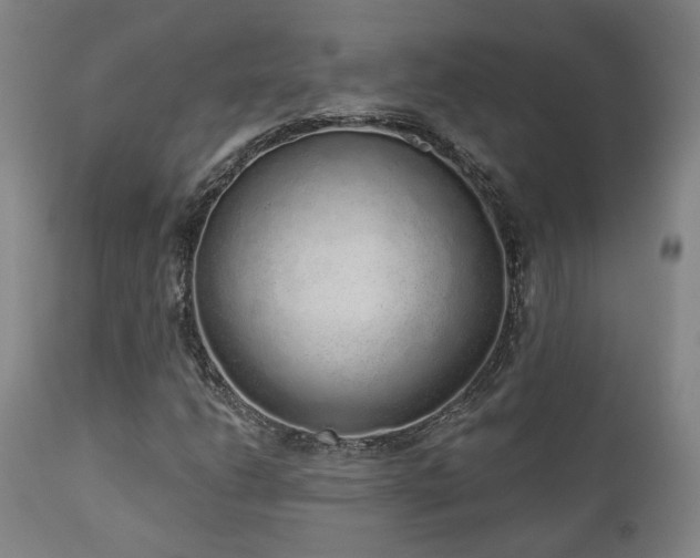 X0000110961206200906191304