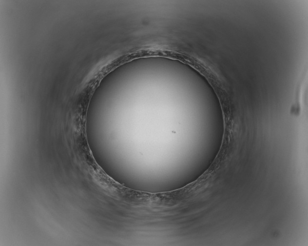 X0000110961207200906191304