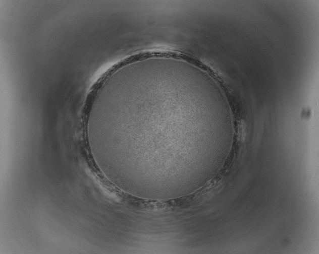 X0000110961208200906191304