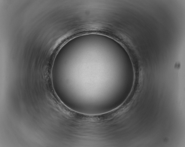 X0000110961210200906191304