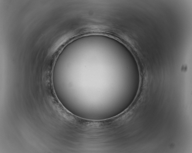 X0000110961211200906191304