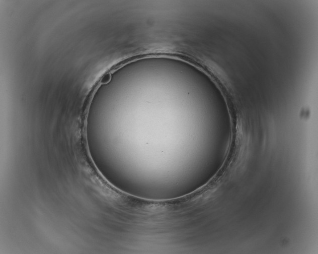 X0000110961212200906191304