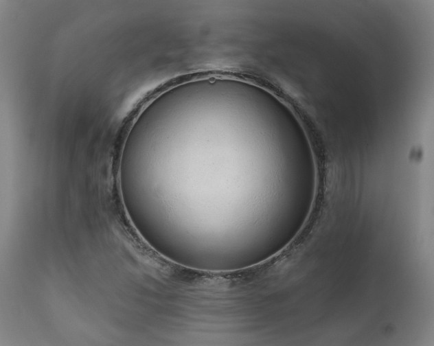 X0000110961214200906191304