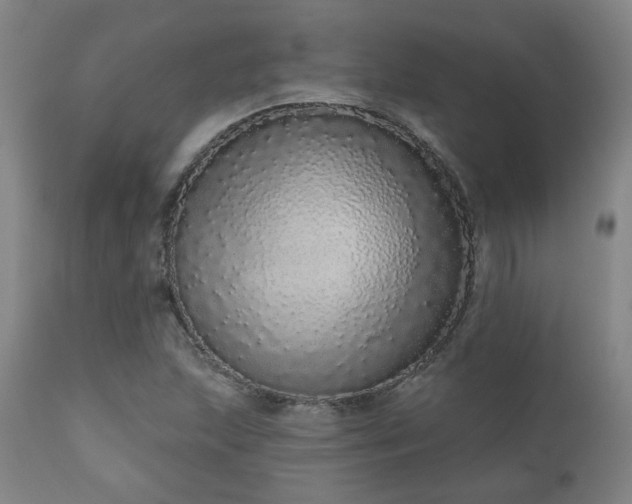 X0000110961215200906191304