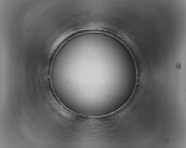 X0000110961216200906191304
