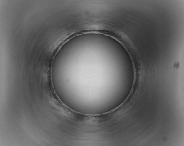 X0000110961217200906191304