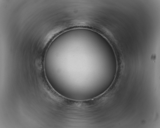 X0000110961218200906191304