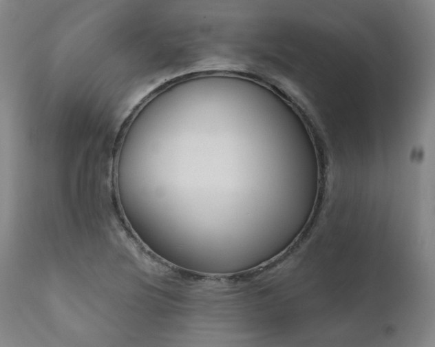 X0000110961220200906191304
