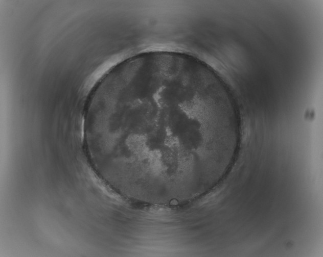 X0000110961221200906191304