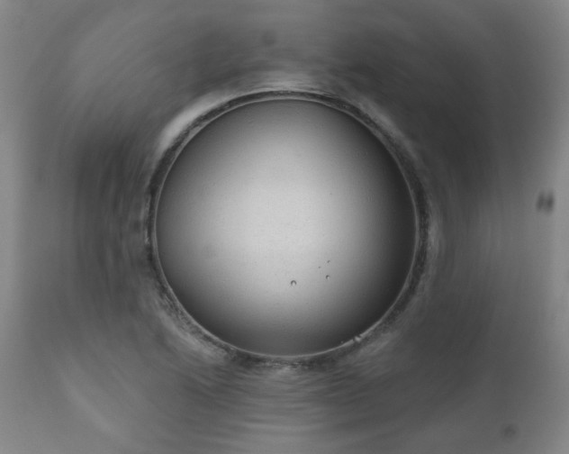 X0000110961222200906191304