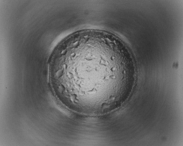 X0000110961223200906191304