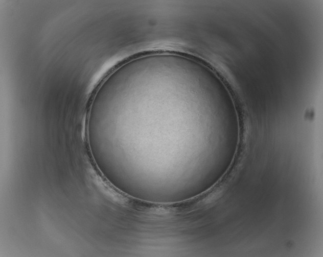 X0000110961224200906191304