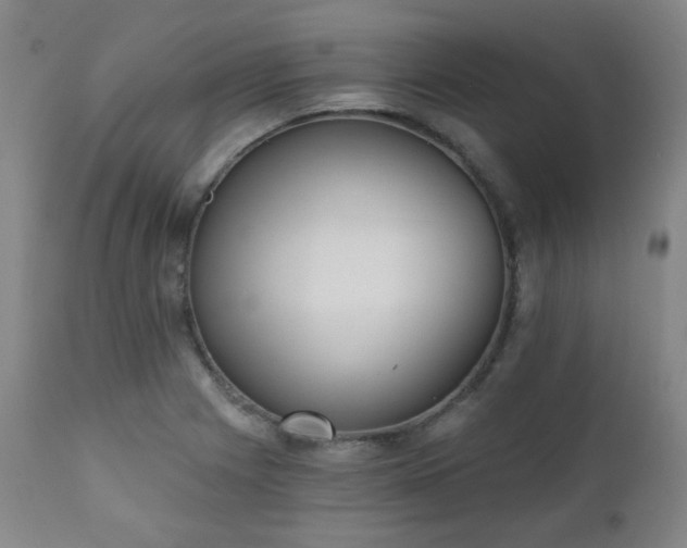 X0000110961225200906191304