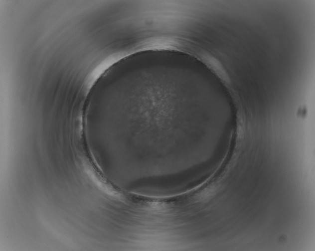 X0000110961226200906191304