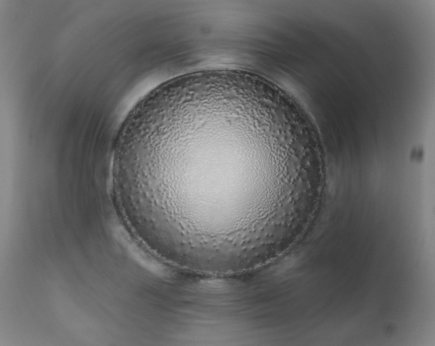 X0000110961227200906191304