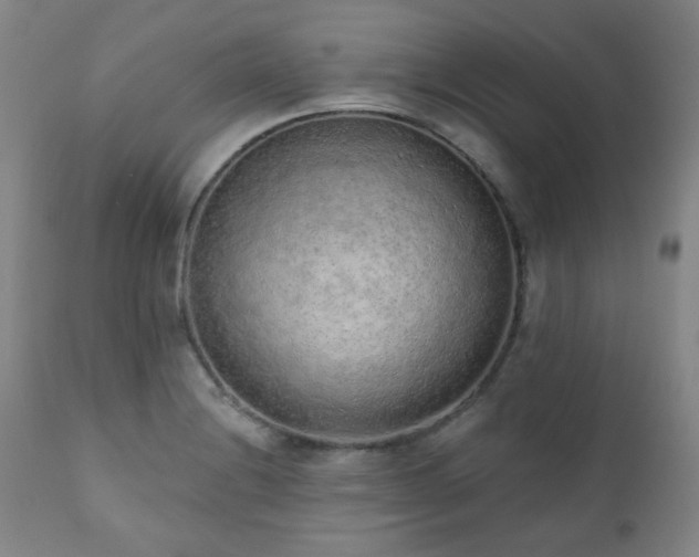 X0000110961228200906191304