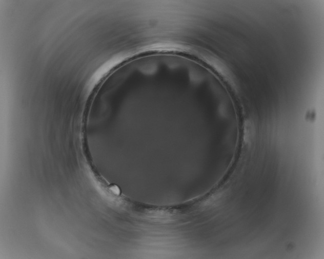 X0000110961229200906191304