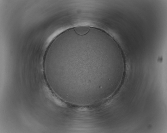 X0000110961230200906191304