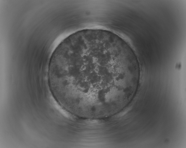 X0000110961231200906191304