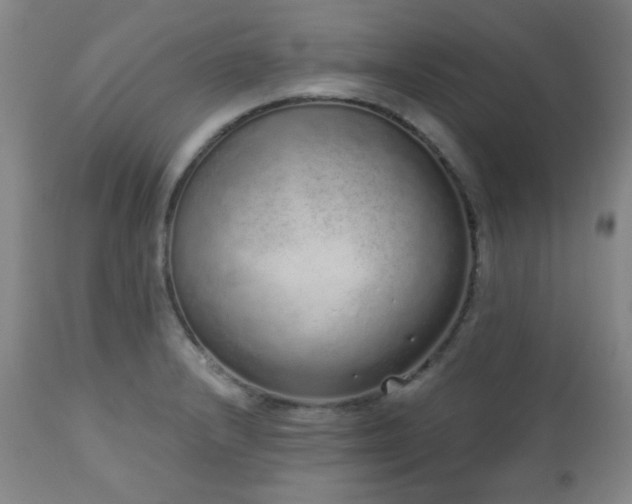X0000110961232200906191304
