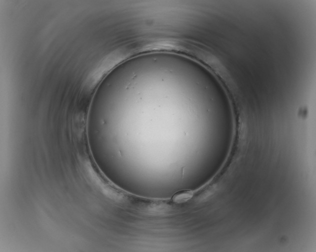X0000110961233200906191304