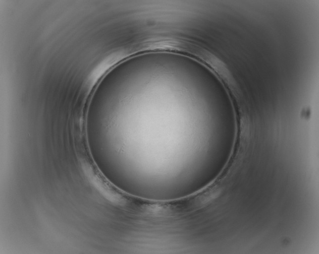 X0000110961234200906191304