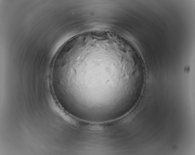 X0000110961235200906191304