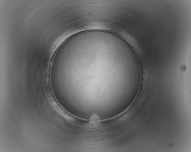 X0000110961236200906191304
