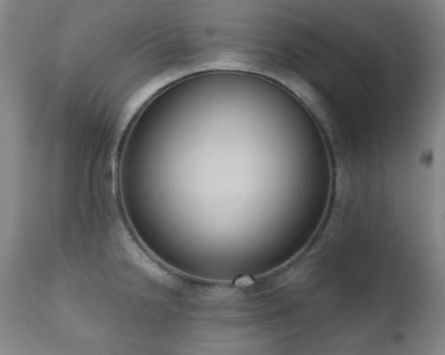 X0000110961238200906191304