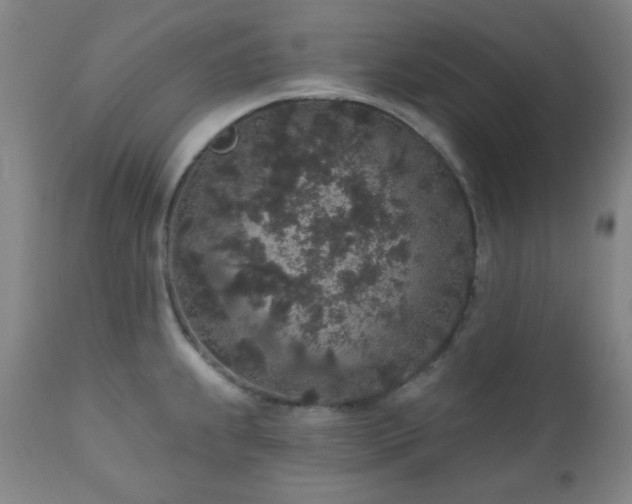 X0000110961239200906191304
