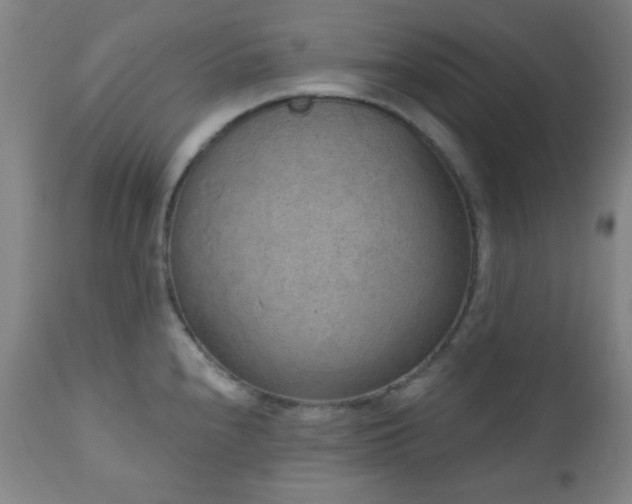 X0000110961240200906191304
