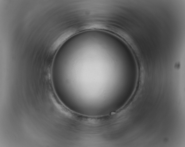 X0000110961241200906191304