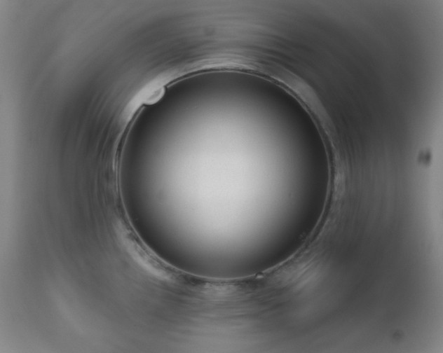 X0000110961242200906191304