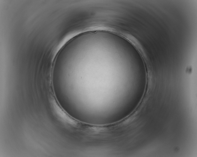 X0000110961244200906191304