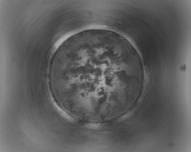 X0000110961245200906191304