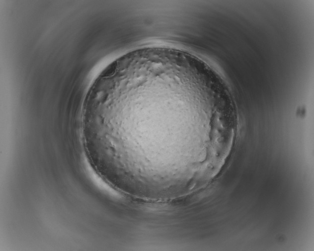 X0000110961247200906191304