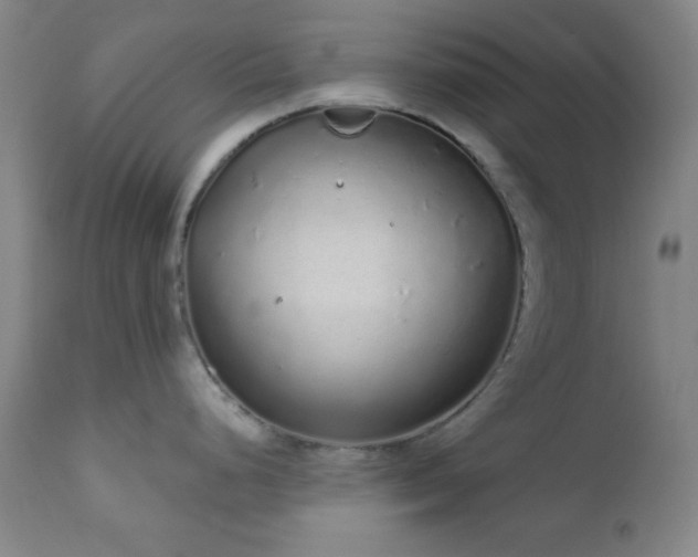 X0000110961248200906191304