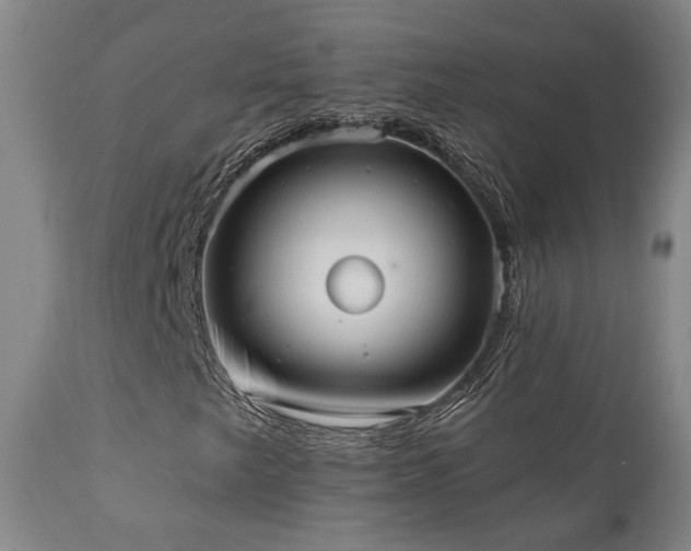 X0000110961249200906191304