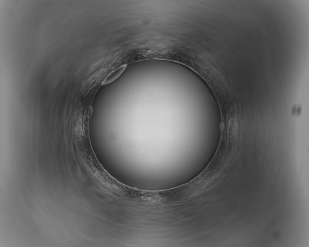 X0000110961250200906191304