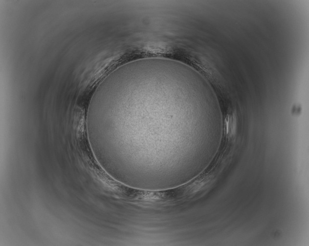 X0000110961251200906191304