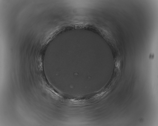 X0000110961252200906191304