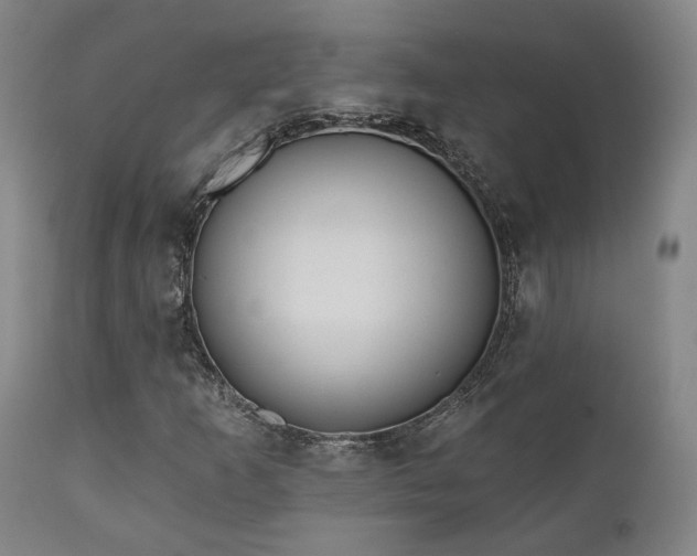 X0000110961253200906191304