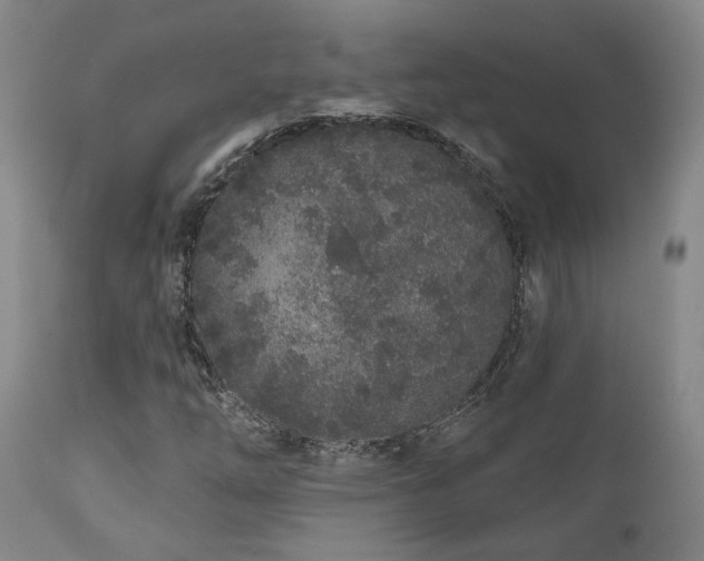 X0000110961254200906191304
