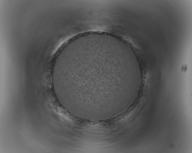 X0000110961256200906191304