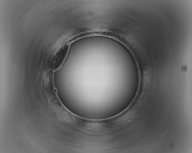 X0000110961257200906191304