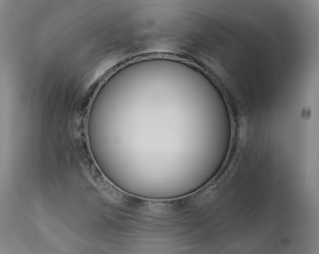 X0000110961258200906191304