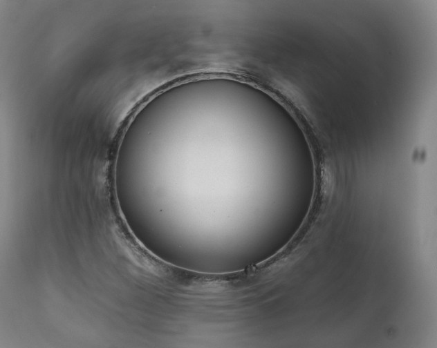 X0000110961260200906191303